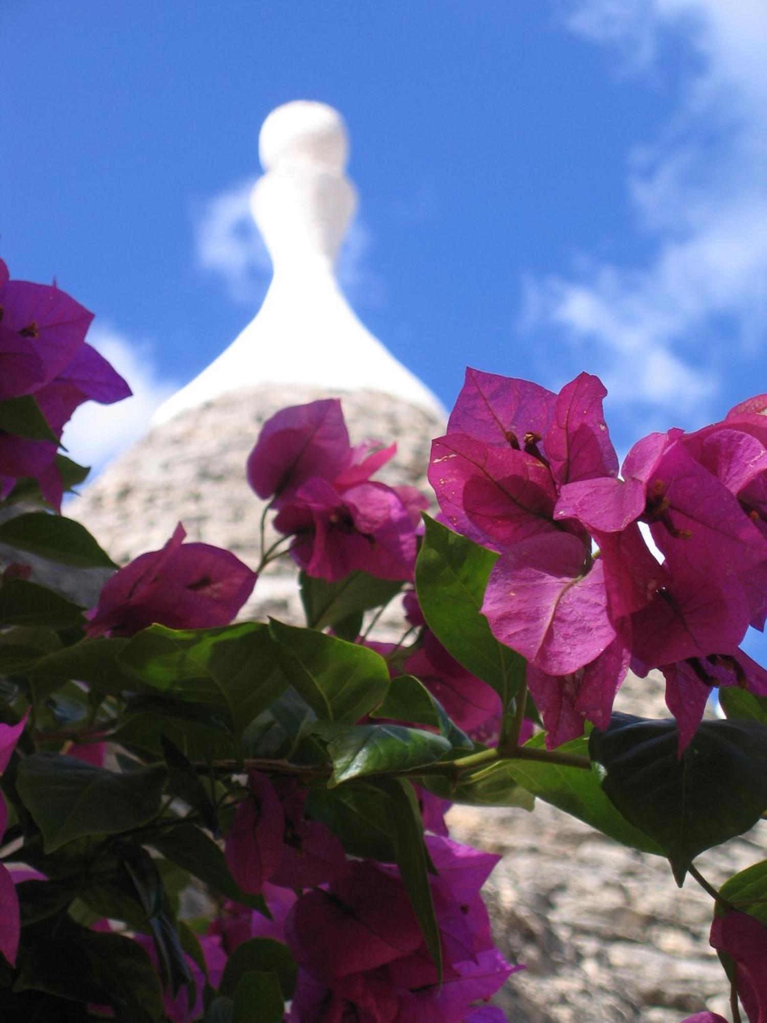 Vacanza In Puglia 알베르벨로 외부 사진